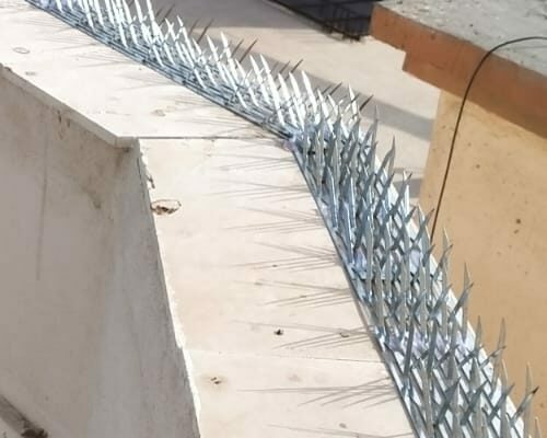 افضل شركة تركيب طارد حمام بنجران